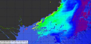 One of Dr. Subramaniam's tasks on the cruise is processing satellite data to locate the river's plume 