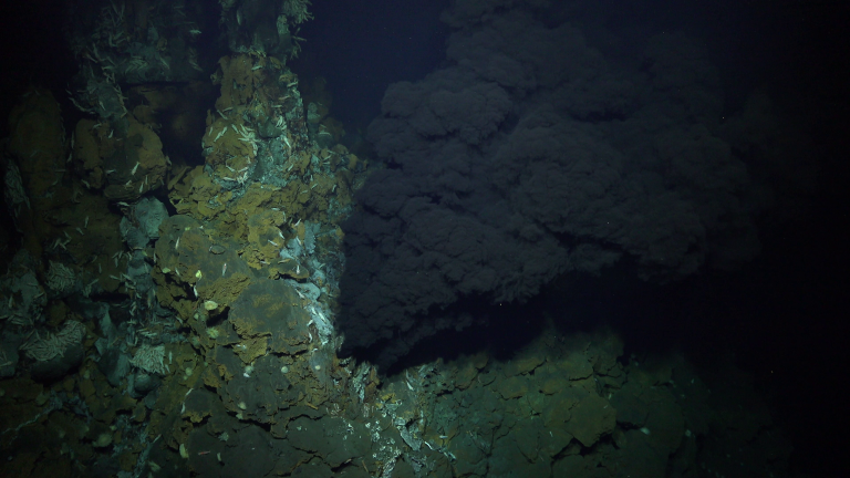 Black fluid spews from a hydrothermal vent. 