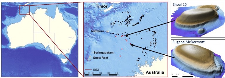 Location of potential ‘shoals-like’ features (black dots) with those previously surveyed (red dots).