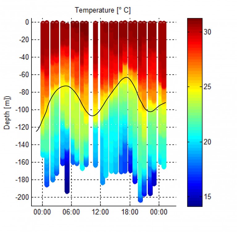 A picture, or curtain, in time showing the fluctuation in ocean temperature. 