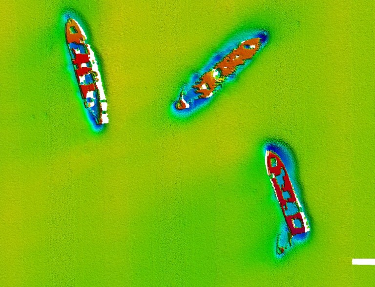 Multibeam sonar image of the MI-616 Liberty Ships Artificial Reefs. 