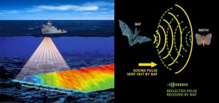 Images showing the multi-beam mapping in comparison to echolocation in animals. 