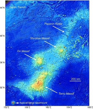 Map of Shatsky Rise shows Tamu looks like the plume head while Ori and Shirshov look like transitional edifices. Papanin Ridge would be the plume tail. 