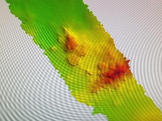 More seamounts on the surface of Tamu Massif. 