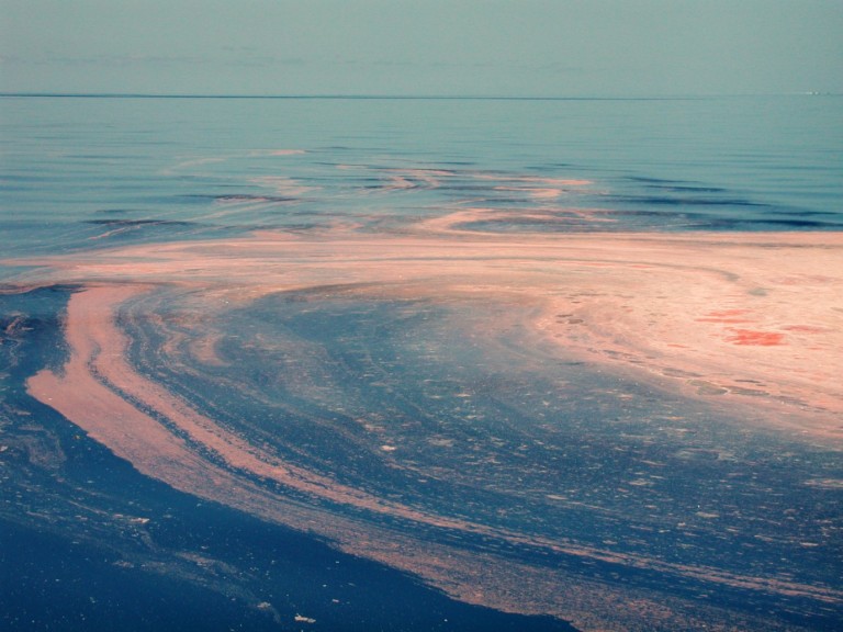 A coral spawn slick containing millions of coral embryos on the sea surface the morning after a massive shallow water spawning event at Scott Reef. 