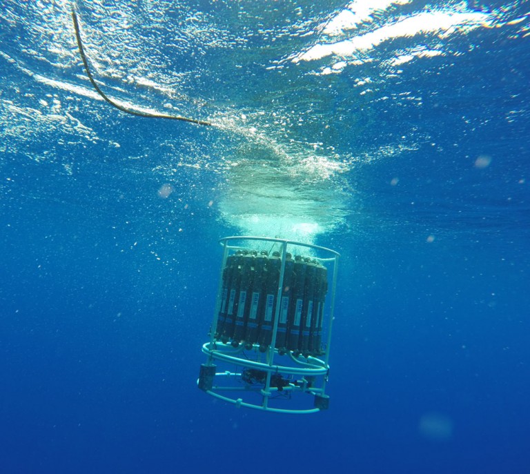 CTD being released into the water. 