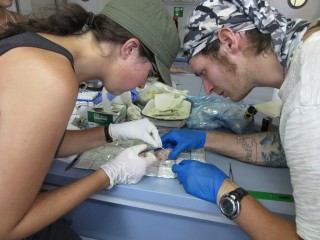 Scientists on board work with fish samples from the deep. At least there are rulers to standardize the measurements taken. 