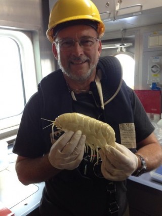 Paul Yancey with the supergiant amphipod caught at about 7000 meters. Supergiant Amphipods have been found in other trenches and on the open (non-trench) sea floor off Hawaii and a few other places, but always at great depth (about 5,000 to 8,200 m). This is the first captured from the Mariana Trench. 