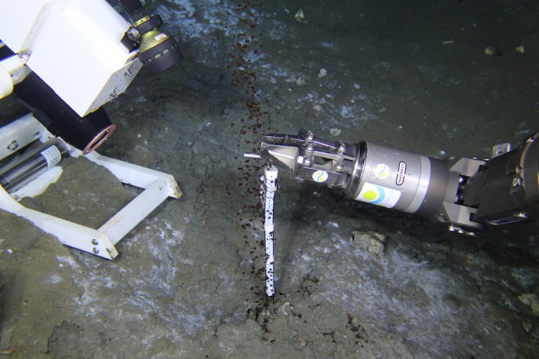 Scientists investigated this natural oil seep with a specially designed Video Time-lapse Camera system. 