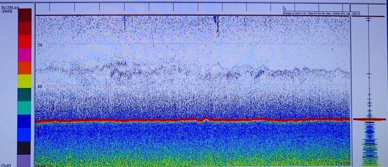 Ecogram from the EK60 Echosounder which shows different layers of plankton, part of this mix will be coral eggs rising to the surface.