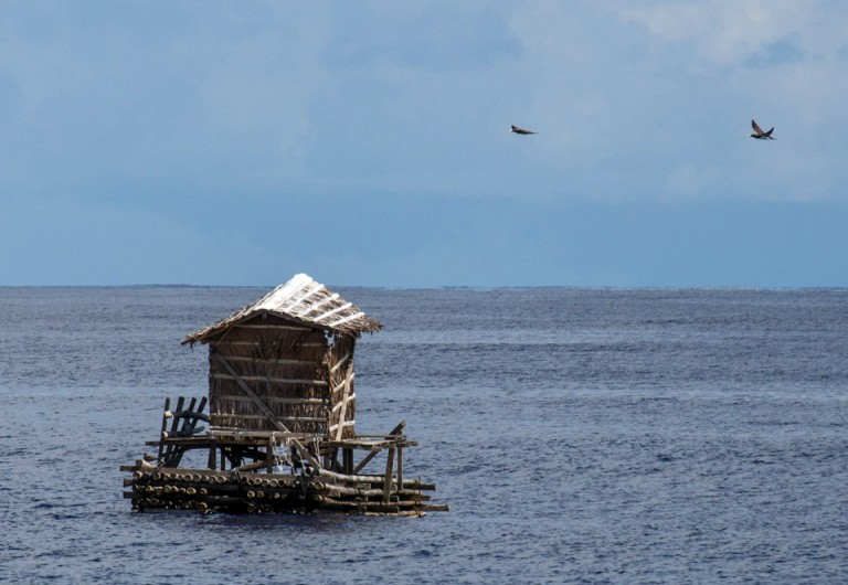 Seabirds leave the floating houseboat as the Falkor approaches. Tomer Ketter