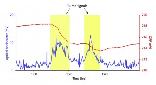 Plot of MAPR data showing the signals indicative of a hydrothermal plume. 