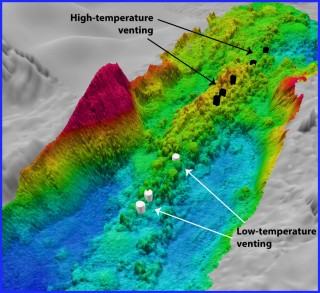 3D view of newly-acquired bathymetry (colored) in the area of CTD tow-yo 6. The black and white cylinders are areas of high- and low-temperature venting, respectively, inferred from the plume data. View is looking to the northwest and is 5 times vertically exaggerated. 