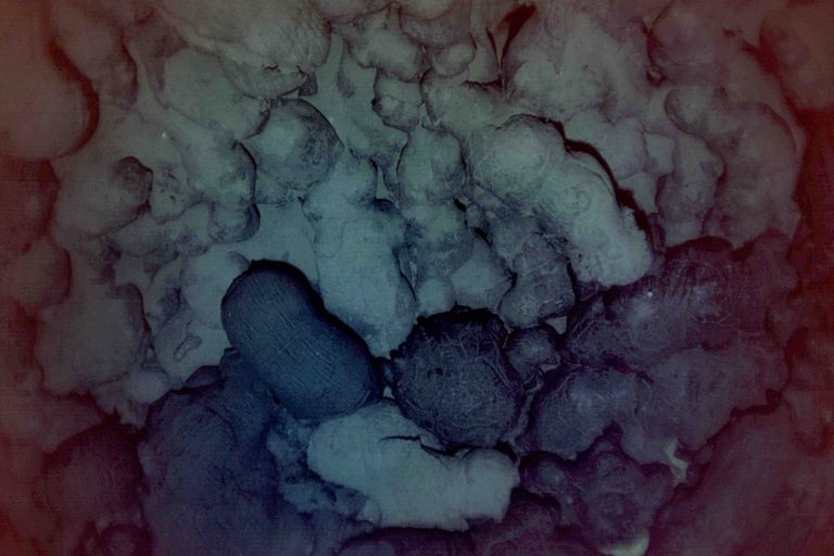 Photograph taken by AUV Sentry in November 2015 showing the edge of the young lava flow (dark) over the surrounding older seafloor (light). Our first dive target on this cruise.