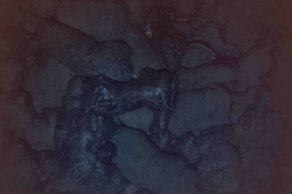 Photograph taken by Sentry showing young glassy black pillow lavas that are probably less than a year old. 