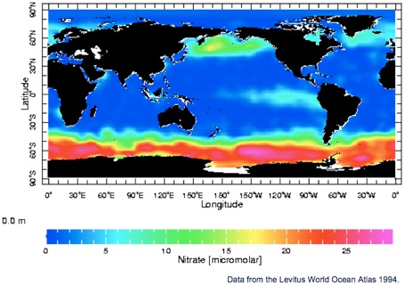 Nitrate concentrations in the ocean. High Nutrient Low Chlorophyll regions have an abundance of nitrate and phosphorous, as compared to the rest of the ocean because the lack of iron limits phytoplankton growth. 