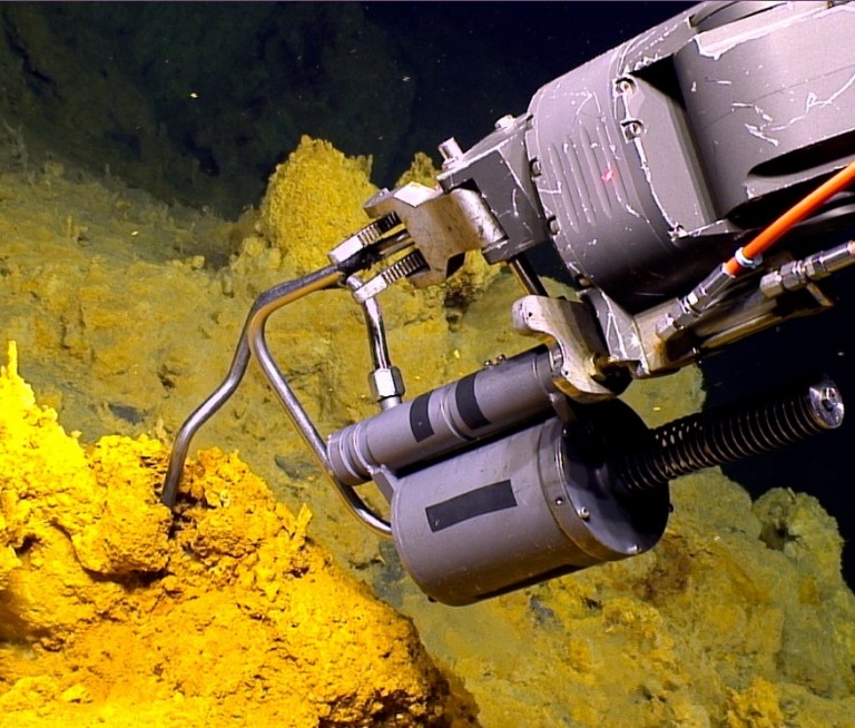 The Iron Eaters of Loihi Seamount - Schmidt Ocean Institute