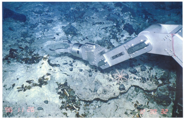 Photograph of the seafloor summit at one of the Mariana mud volcanoes, showing seep organisms and the mechanical arm of the Japenese submersible Shinkai 6500. 