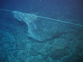 A ghost net still trapping sea life.