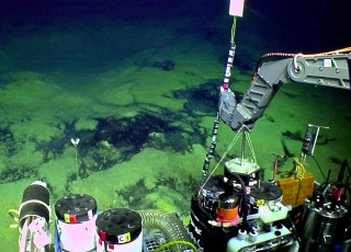 Deploying a probe with multiple sensors to measure the temperature gradient of the diffuse hydrothermal flow around the bacterial features at Loihi's base.