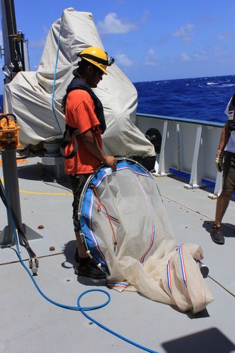 Ring Nets and Zooplankton: Investigating Copepod Paternity - Schmidt Ocean  Institute