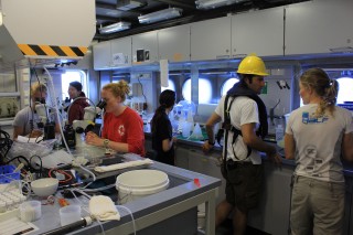 The zooplankton lab is busy with everyone sorting and processing samples after pulling in the MOCNESS