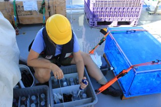 Karen Selph switches out samples from the deckboard incubator filled with flowing surface seawater. The plastic bottles are used as incubation receptacles for microzooplankton grazing and phytoplankton growth experiments. 