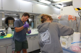 Dr. Olivier Rouxel geochemist at the French Research Institute for Exploitation of the Sea (Ifremer) works with graduate student Isabelle Baconnais to look for iron in the CTD water samples.