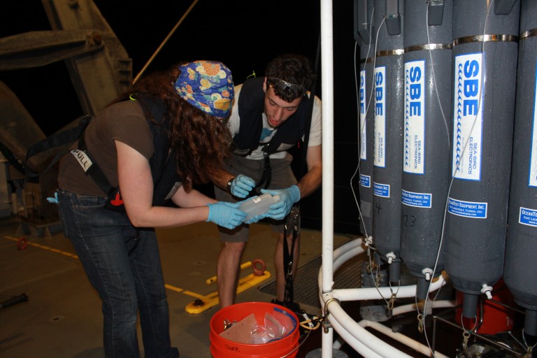 Day or night CTD samples are collected for analysis. Our handling processes of the samples are extremly careful. 