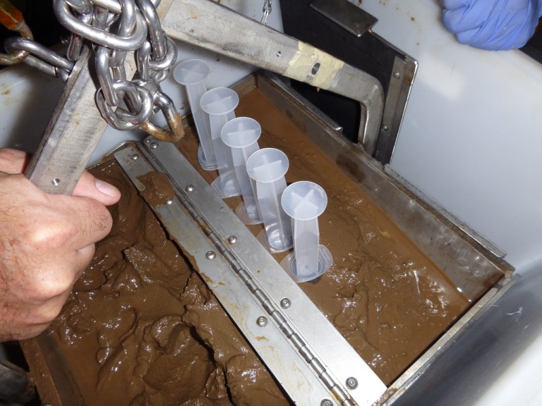 We can take quantitative samples of the sediment returned by the grabs using syringe cores to answer questions about faunal communities and organic composition.