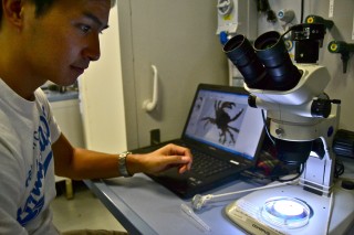 Jonathan Le examining a tiny crab under the microscope with a photo of the crab visible on the monitor. 