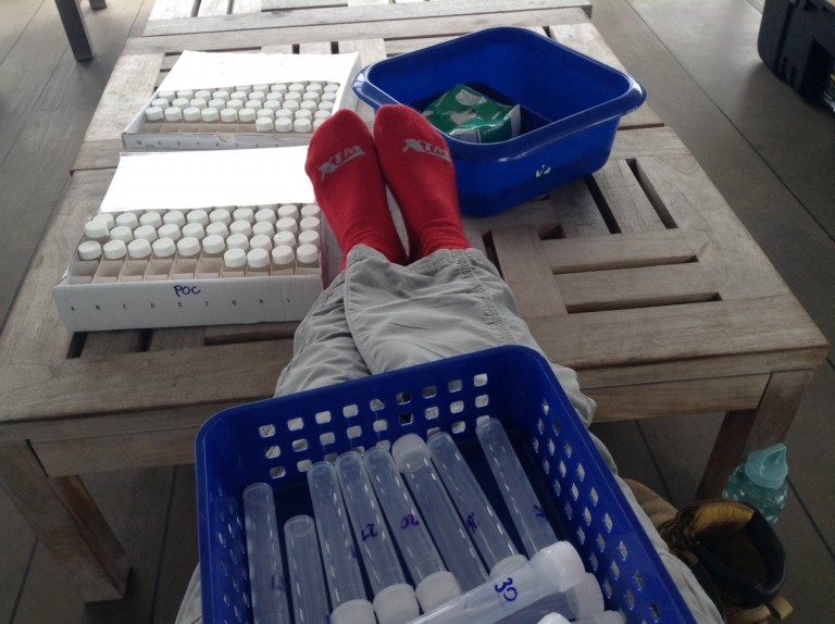 Properly labeling samples is a critical (and sometimes relaxing) task for field work. 