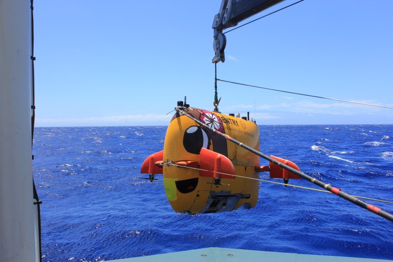 Sentry team engineer Justin Fujii dresses up Sentry with a Hawaiian themed flower and a face on one of the dives. 