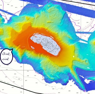 This Maro reef resembles a running pig, or at least it does if you spend enough time at sea.