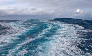 Falkor leaves a trail down a large swell