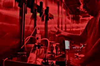 Paul Zimba processing water samples to look for toxic algage and bacteria. Red light prevents the cells from breaking down.