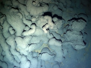 Pillow lavas flows found at 5000 m at Loihi Seamount.