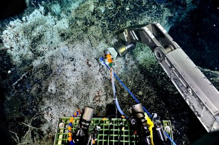 The collection end of the Large Volume Water Sampler in place at the end of the ROPOS manipulator arm at Marker 113. 