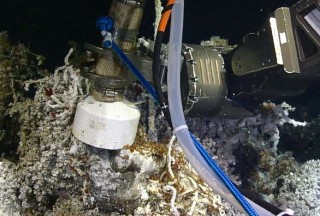 he collection end of the Large Volume Water Sampler in place at an Axial site. 