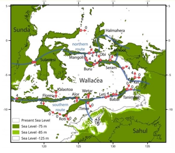 The evolution of Australian island geographies and the emergence and  persistence of Indigenous maritime cultures - ScienceDirect