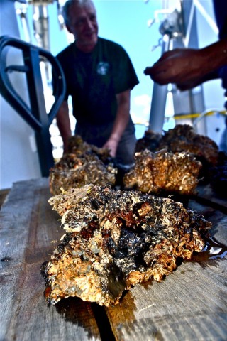 Andre Droxler and Pankaj Khanna broke open a large rock sample to look for pieces suitable for carbon dating.