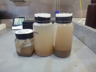 Sediments samples are ultimately preserved in buffered formalin for taxonomy or in ethanol for later genetic analyses. 