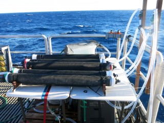 Phytoplankton communities from different water depths within Perth Canyon are being cultured in experimental incubation chambers to measure their productivity. The chambers are covered in mesh to reduce the light intensity to that found at their collection depth, and water chillers keep the water cold. 