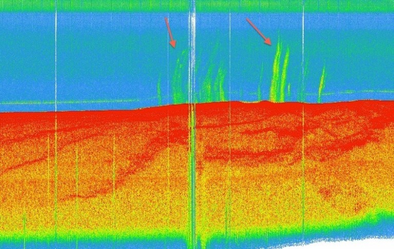 This screenshot from Fledermaus Midwater processing software shows EM302 multibeam data collected by R/V Falkor over natural seeps. The scientists dubbed the features "Megaplume" and "Birthday Candles."