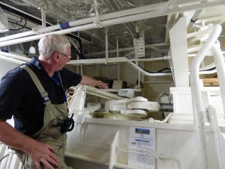 Chief Engineer Allan Watt describing the Falkor's stabilizer system. 