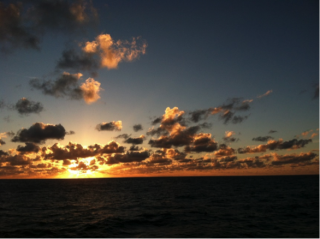 It is not often that one can see a sunrise or sunset that is not blocked by buildings or telephone wires. I will always remember the ones I’ve seen aboard the Falkor.