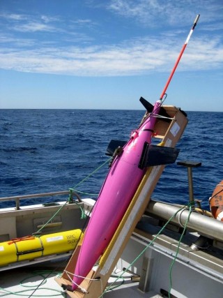 An ocean glider - an autonomous underwater vehicle (AUV) than can measure seawater characteristics such as temperature, salinity and oxygen over several weeks to months.