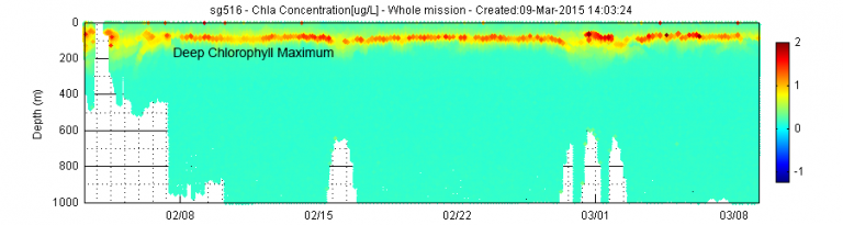 Data from ocean gliders showing the deep chlorophyll maximum at depths of 100-120 metres (300-400 ft) in the area surrounding the Perth Canyon. 