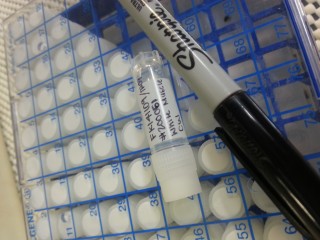 Labeled cryovial – these are used to collect samples from specimens to save for future analysis. Each vial must be labeled with specific information for data collection.