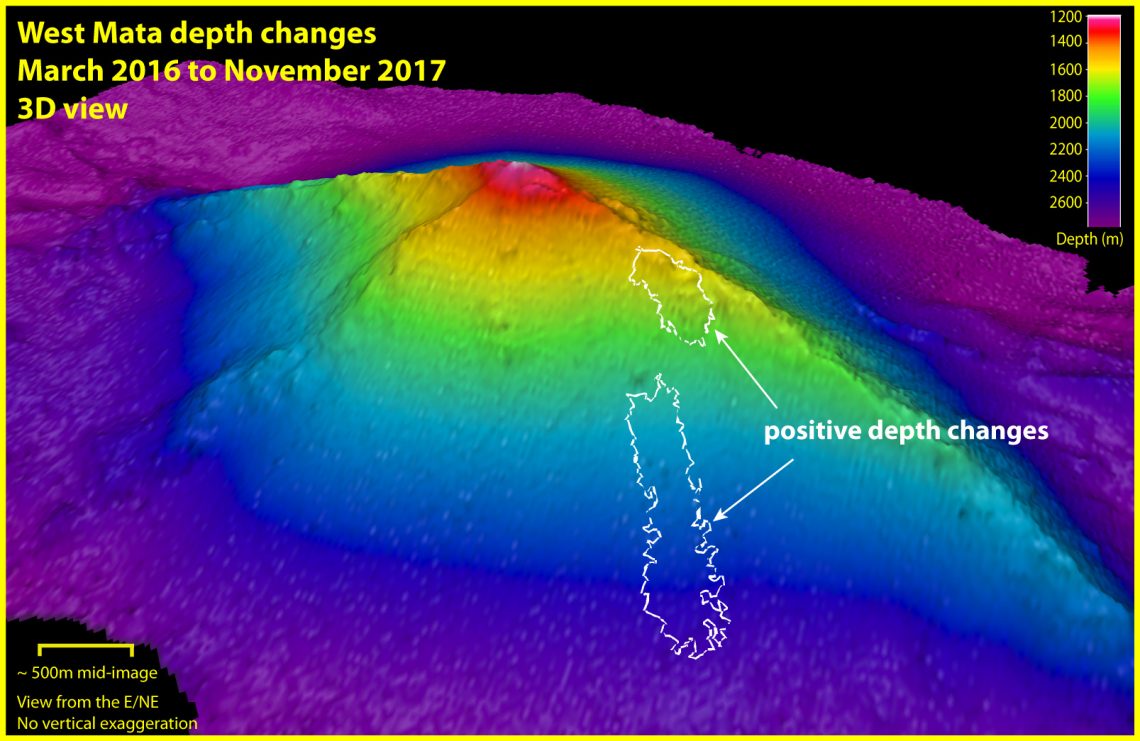 Our First Discovery! Schmidt Ocean Institute
